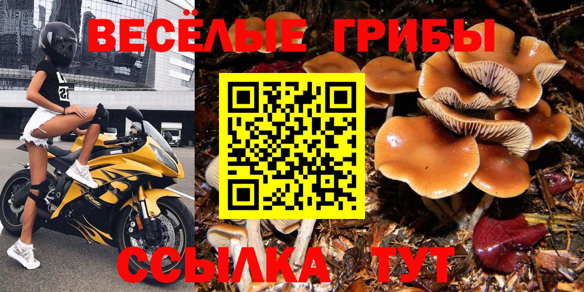 Красноармейск  Псилоцибиновые грибы Magic Shrooms  где продают наркотики  Вход с VPN 