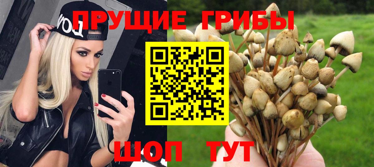 Псилоцибиновые грибы ЛСД Красноармейск